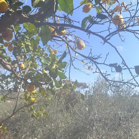 Apartament Isola D'oro